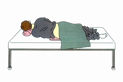 診察時の体位イメージイラスト